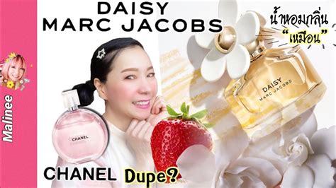 chanel chance eau tendre vs marc jacobs daisy|chance eau tendre vs daisy.